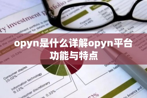 opyn是什么详解opyn平台功能与特点