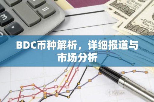 BDC币种解析，详细报道与市场分析