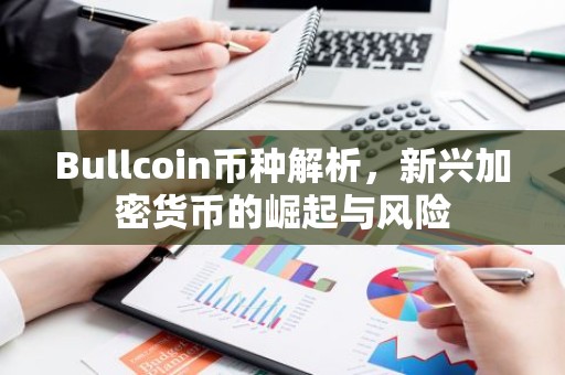 Bullcoin币种解析，新兴加密货币的崛起与风险