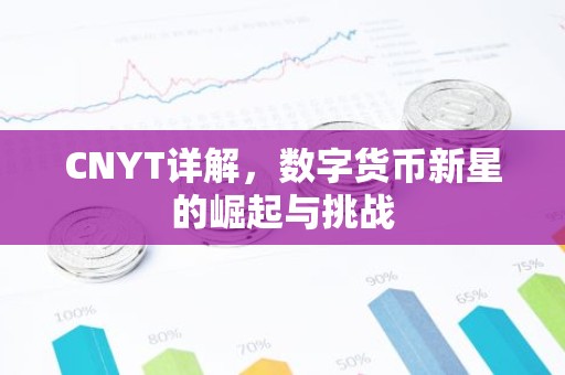 CNYT详解，数字货币新星的崛起与挑战