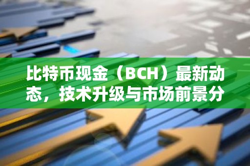 比特币现金（BCH）最新动态，技术升级与市场前景分析