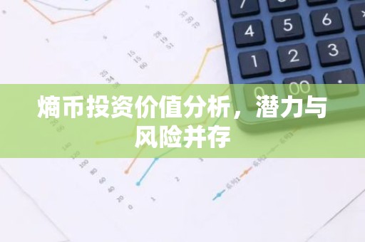 熵币投资价值分析，潜力与风险并存