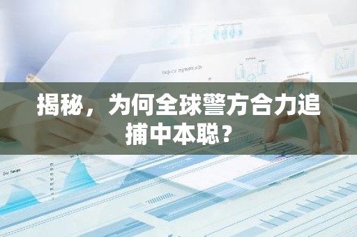 揭秘，为何全球警方合力追捕中本聪？