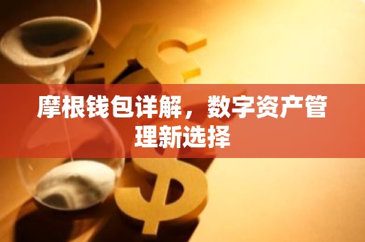摩根钱包详解，数字资产管理新选择