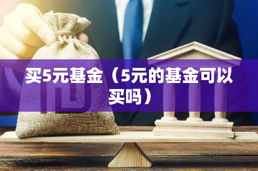 买5元基金（5元的基金可以买吗）