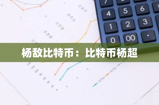 杨敌比特币：比特币杨超