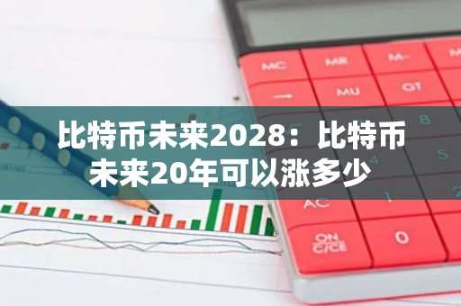比特币未来2028：比特币未来20年可以涨多少