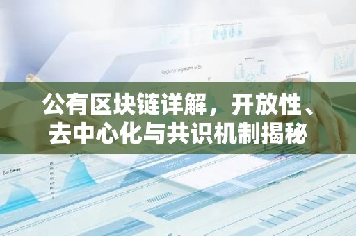 公有区块链详解，开放性、去中心化与共识机制揭秘