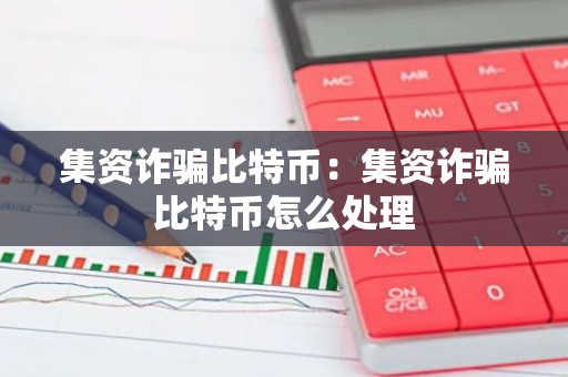 集资诈骗比特币：集资诈骗比特币怎么处理