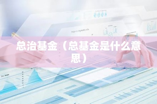 总治基金（总基金是什么意思）
