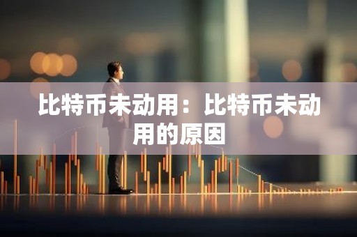 比特币未动用：比特币未动用的原因