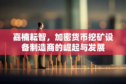 嘉楠耘智，加密货币挖矿设备制造商的崛起与发展