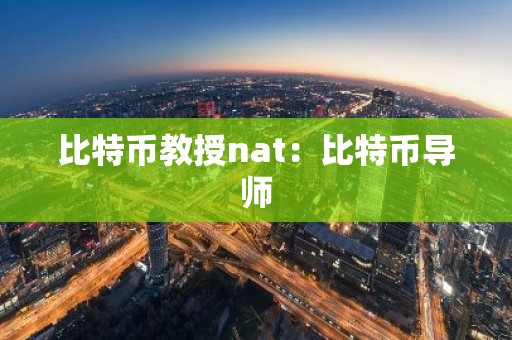 比特币教授nat：比特币导师