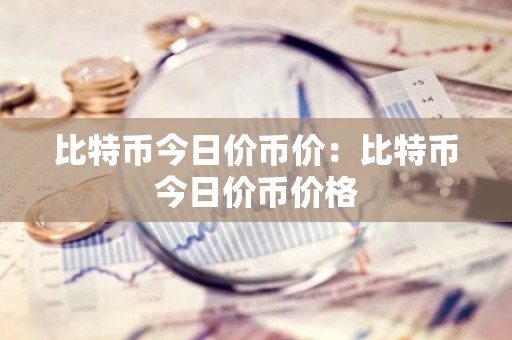 比特币今日价币价：比特币今日价币价格