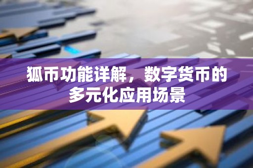狐币功能详解，数字货币的多元化应用场景