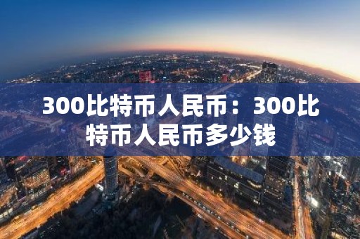 300比特币人民币：300比特币人民币多少钱