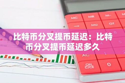 比特币分叉提币延迟：比特币分叉提币延迟多久