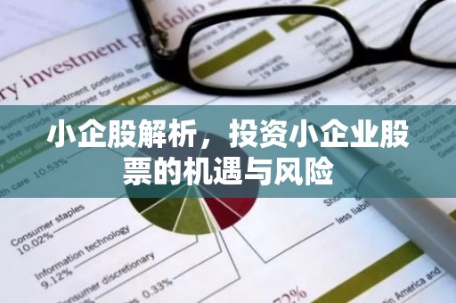 小企股解析，投资小企业股票的机遇与风险