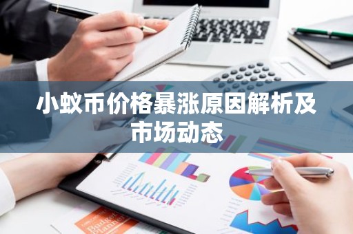 小蚁币价格暴涨原因解析及市场动态