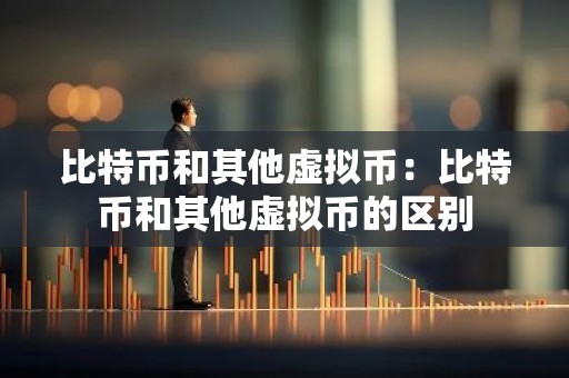 比特币和其他虚拟币：比特币和其他虚拟币的区别