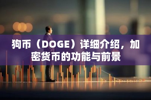 狗币（DOGE）详细介绍，加密货币的功能与前景