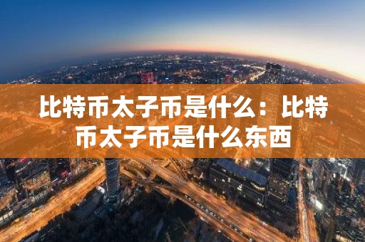 比特币太子币是什么：比特币太子币是什么东西