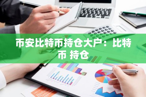 币安比特币持仓大户：比特币 持仓