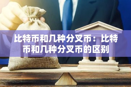 比特币和几种分叉币：比特币和几种分叉币的区别