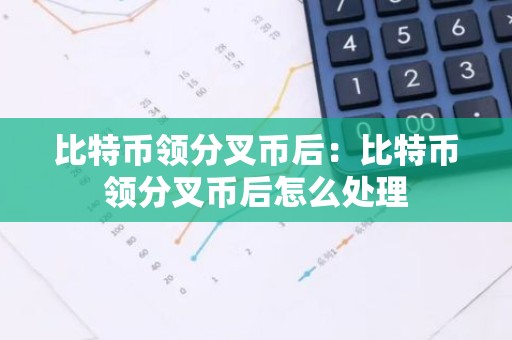 比特币领分叉币后：比特币领分叉币后怎么处理