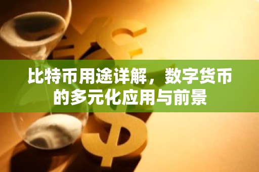 比特币用途详解，数字货币的多元化应用与前景