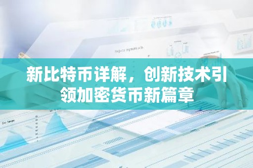 新比特币详解，创新技术引领加密货币新篇章