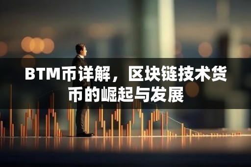 BTM币详解，区块链技术货币的崛起与发展