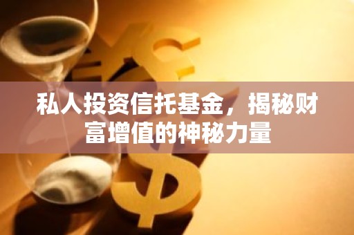 私人投资信托基金，揭秘财富增值的神秘力量