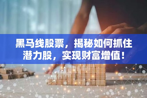 黑马线股票，揭秘如何抓住潜力股，实现财富增值！