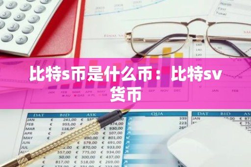 比特s币是什么币：比特sv货币