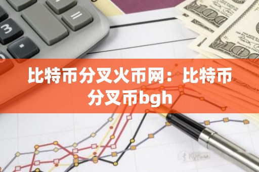 比特币分叉火币网：比特币分叉币bgh