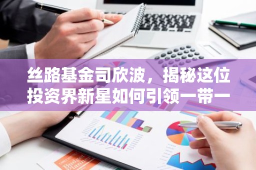 丝路基金司欣波，揭秘这位投资界新星如何引领一带一路投资新潮流