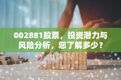 002881股票，投资潜力与风险分析，您了解多少？