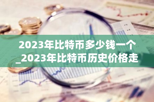 2023年比特币多少钱一个_2023年比特币历史价格走势图