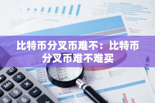 比特币分叉币难不：比特币分叉币难不难买