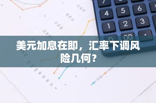 美元加息在即，汇率下调风险几何？