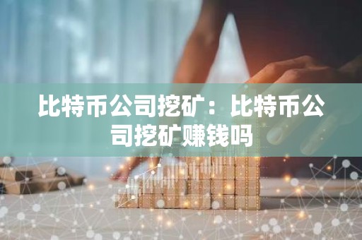 比特币公司挖矿：比特币公司挖矿赚钱吗