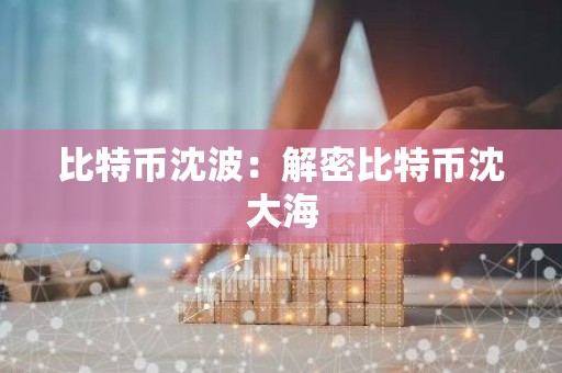 比特币沈波：解密比特币沈大海