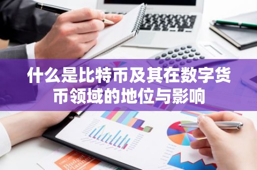 什么是比特币及其在数字货币领域的地位与影响