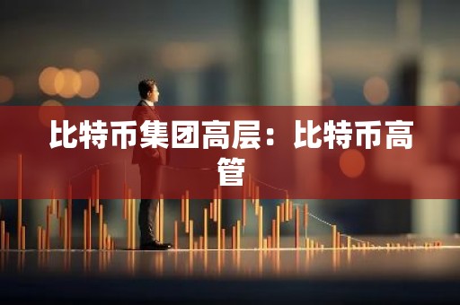 比特币集团高层：比特币高管