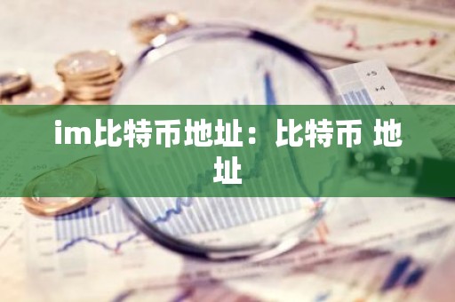 im比特币地址：比特币 地址