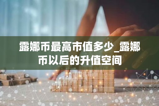 露娜币最高市值多少_露娜币以后的升值空间