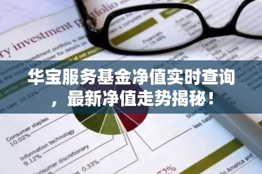 华宝服务基金净值实时查询，最新净值走势揭秘！