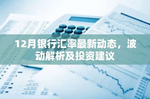 12月银行汇率最新动态，波动解析及投资建议