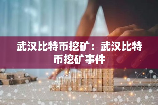武汉比特币挖矿：武汉比特币挖矿事件